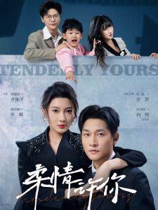 柔情许你(全集)
